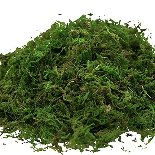 Artificial Decorative Moss, 16oz Faux Green Moss for Crafts and Terrariums