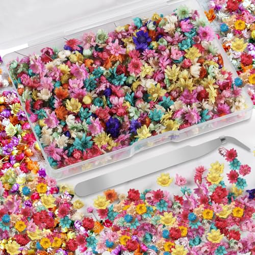 520 Pcs Mini Dried Flowers for Resin Crafts, Jewelry & Soap Making