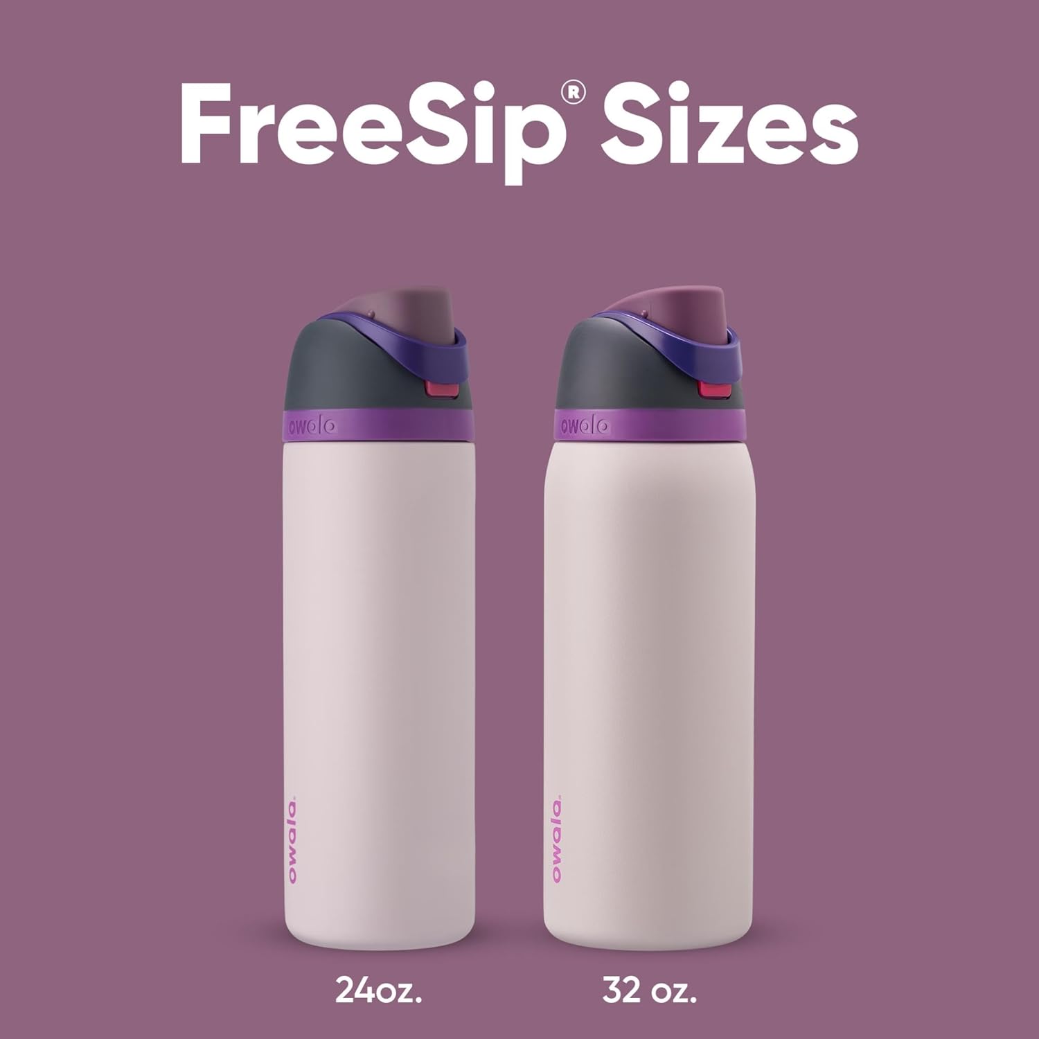 Owala FreeSip 24 oz Insulated Stainless Steel Water Bottle - BPA-Free, Ideal for Sports & Travel, Dreamy Field