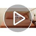 100% Cotton Percale Queen Sheet Set - Crisp 4-Piece Deep Pocket Bed Sheets