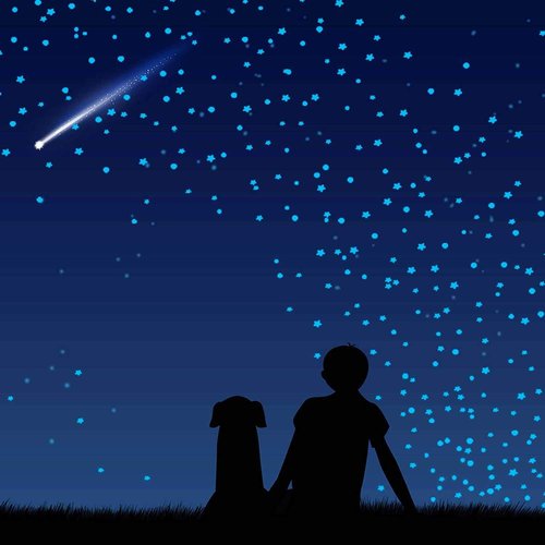 1230 PCS Glow in The Dark Stars Wall Stickers, 3D Adhesive Dots Decor Starry Sky Decor for Kids Bedroom, Beautiful Wall Decals (Blue)