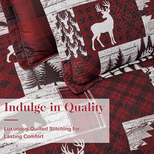 Tritard Red Bear Christmas Plaid Twin Quilt Set with Pillow Shams