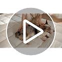 King Size Mattress Topper - Breathable Cotton, Soft Quilted, Noiseless