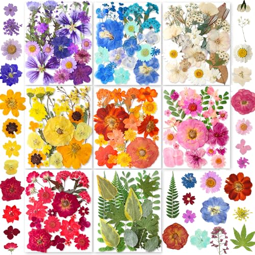 269 Pcs Dried Pressed Flowers Set with Butterfly Stickers for Resin Crafts