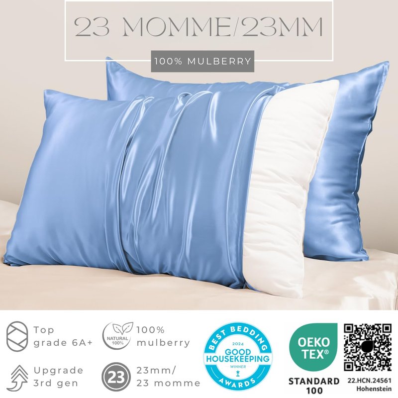 PROMEED 100% Mulberry Silk Pillowcase Set of 2, Both Sides Natural Silk Pillow Case 2 Pack Cooling Pillow Cases for Hot Sleepers, Hidden Zipper Closure (Queen 20"x30", Light Blue)