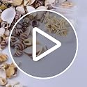 1200 Pcs Natural Mixed Tiny Seashells & 10 Starfish for DIY Crafts & Decor