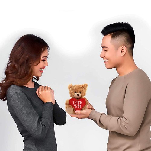 Plushland Stuffed Mocha Heart Bear - Plush Bear Toy for Kids & Adults - Embroidered Heart Pillow - Brown-6 inches (Pink Heart)