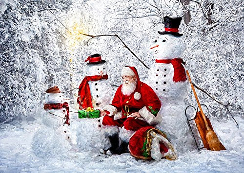 Vermont Christmas Company Snowy Friends Holiday Greeting Cards Set of 15 with Foil Envelopes