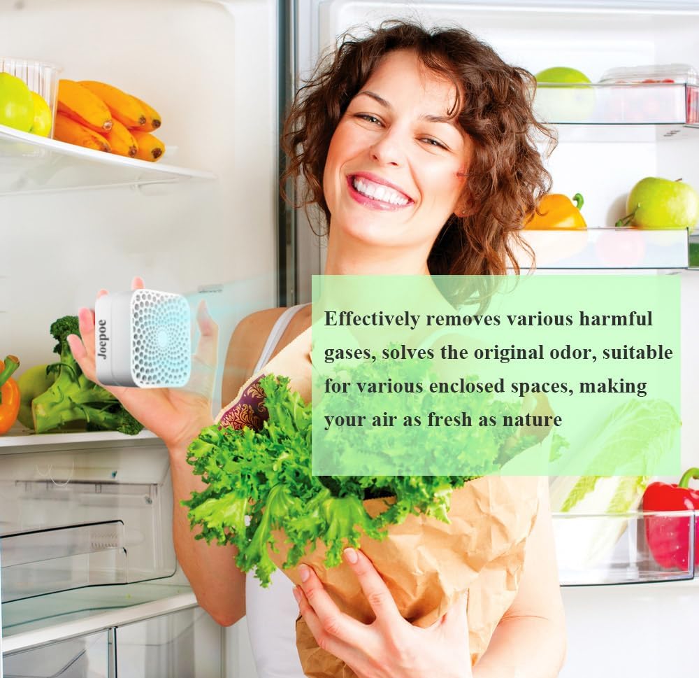 Skiennix Refrigerator Deodorizer - 99% Odor Eliminator | Lasts 10 Years, 2-Pack for Fridge, Freezer & More