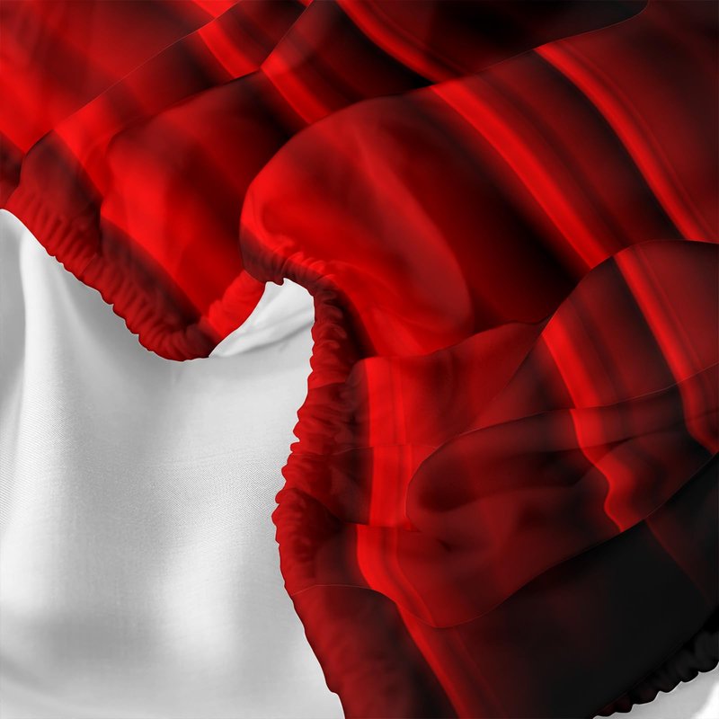 Axolotl Red and Black Sheet Set Twin Size, Abstract Ombre Decor Bed Sheets, Metallic Modern Sheets for Adults Men Women - 1 Flat Sheet, 1 Fitted Sheet, 2 Pillowcases