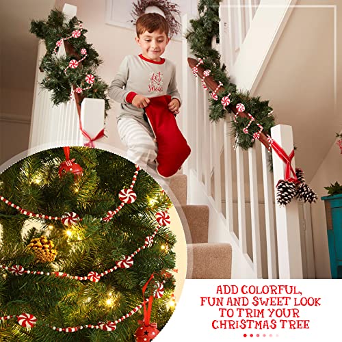 10ft Christmas Candy Cane Garland with Peppermint Accents - Holiday Decor