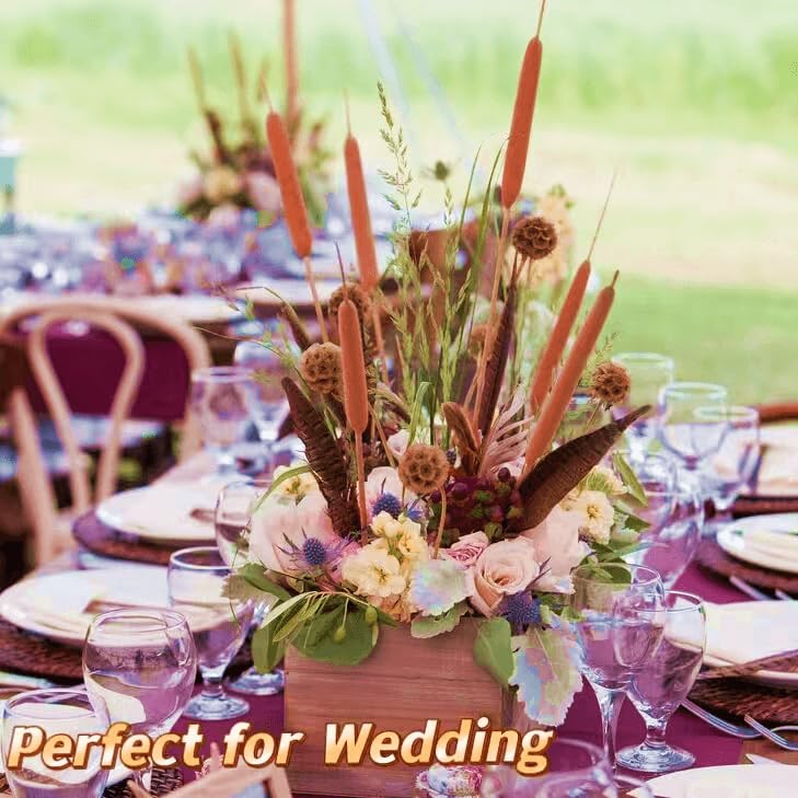 20 Pcs Dried Natural Cattails - 17-Inch Real Brown Bulrush Floral Stems