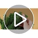 Thenshop 3-Piece 18 Inch Miniature Canadian Pine Christmas Tree Set for Tabletop Decor