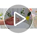 20-Piece Clear Glass Bud Vase Set - Small Vintage Vases for Centerpieces