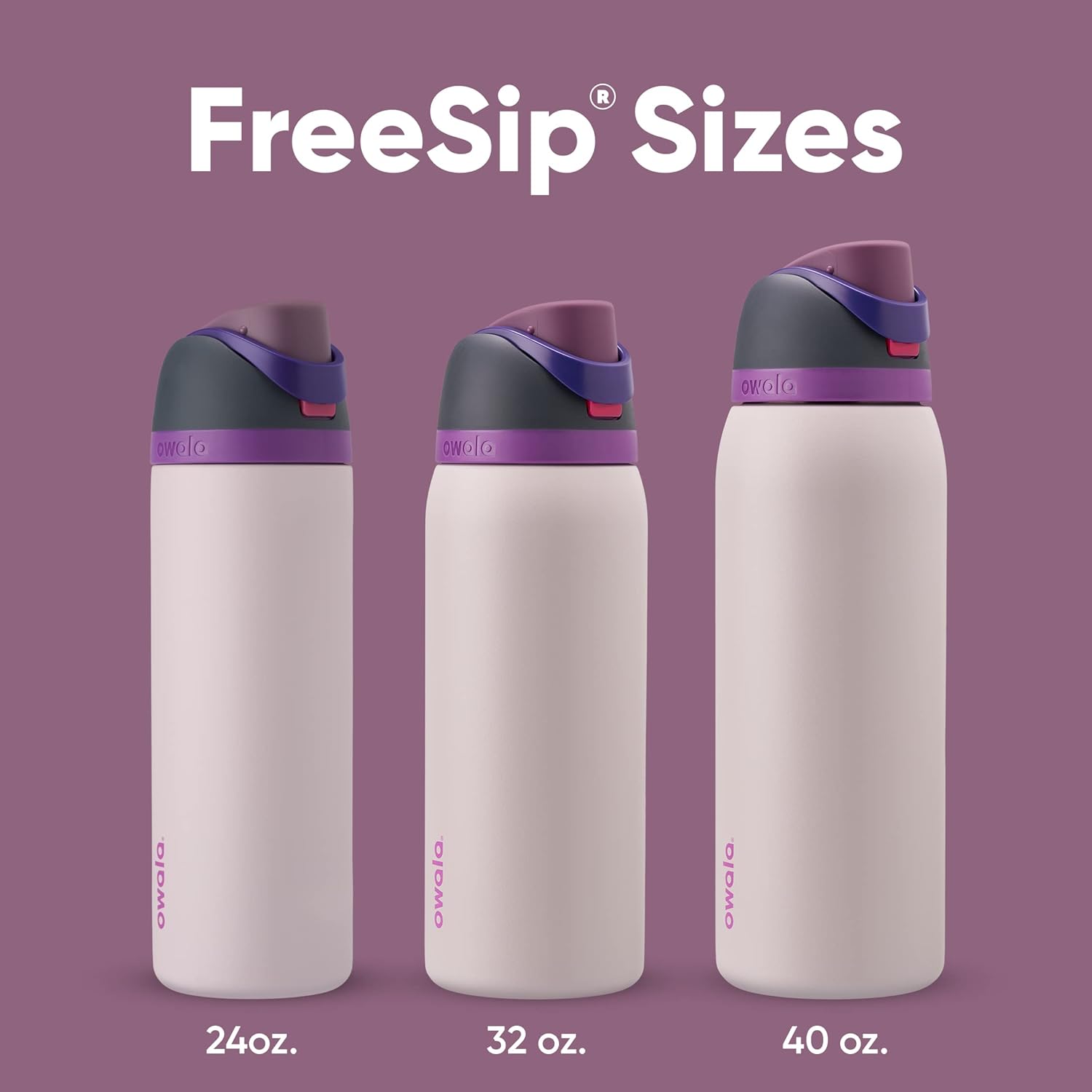 Owala FreeSip 24 oz Insulated Stainless Steel Water Bottle - BPA-Free, Ideal for Sports & Travel, Dreamy Field
