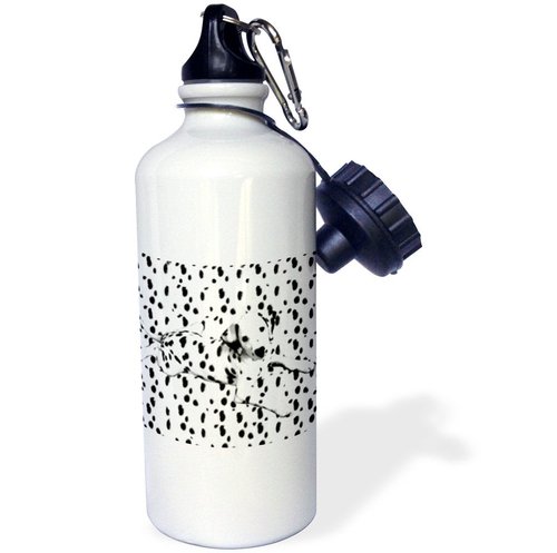 3dRose "Dalmatian, Spots On Spots" Sports Water Bottle, 21 oz, White
