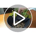 Tabletop Water Garden Fountain Kit with LED Lights - Mocha