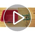24-Inch Holiday Wreath Storage Box with Secure Latches and Handle