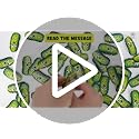 Positive Pickle Jar with 60 Affirmation Cards - Funny Daily Positivity Gift