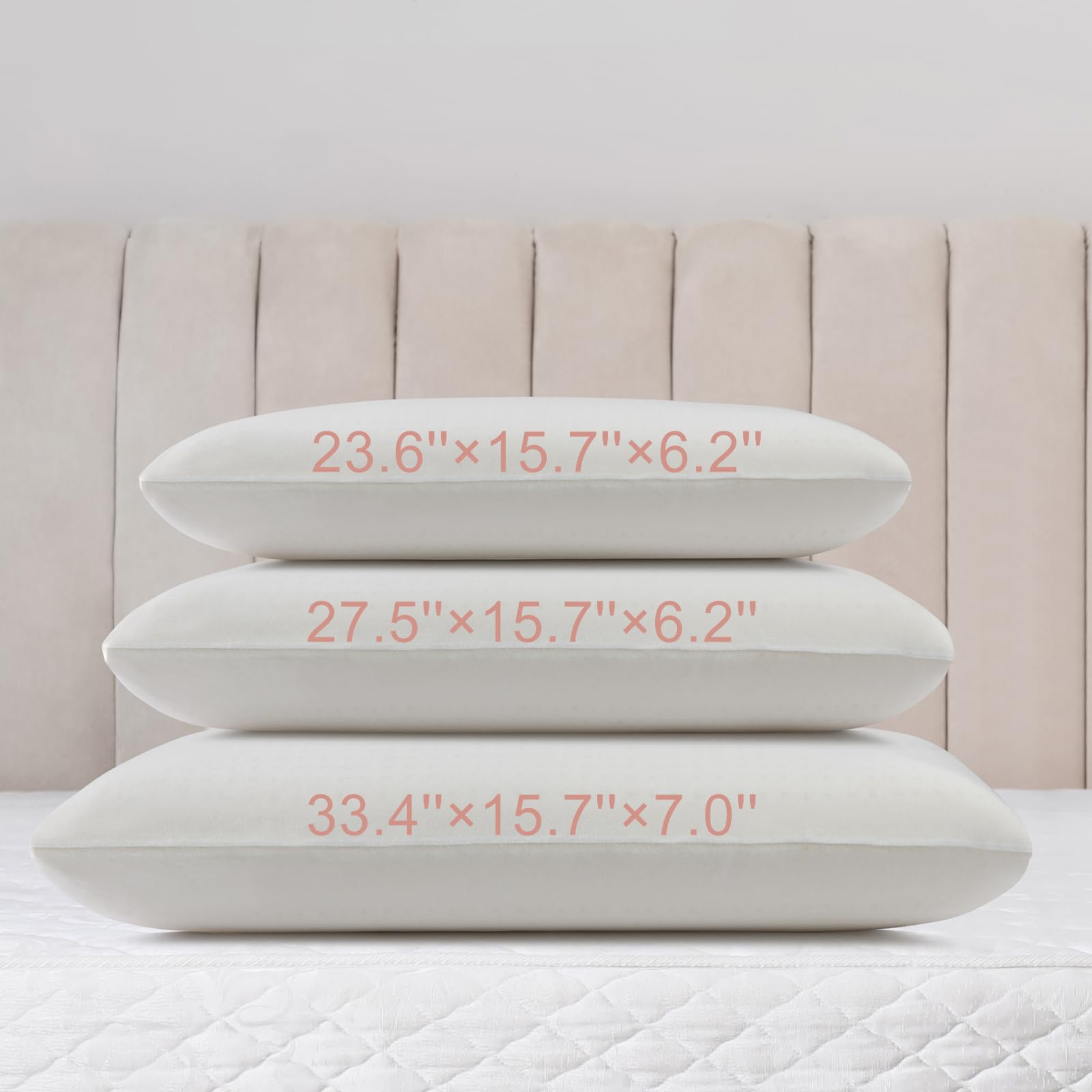 Talalay 100% Natural Premium Latex Pillow, Queen Bed Pillow with Removable Cotton Cover, Helps Relieve Pressure, Sleeping Pillow Suitable for Back and Side Sleepers, Travel Pillow (Queen (Medium))