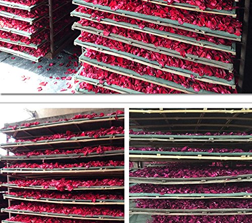 Natural Dried Red Rose Petals for Wedding Decor, Bath Soaks, and Crafting