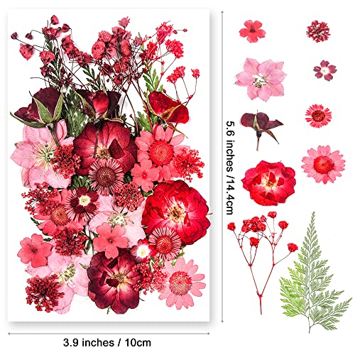 37 Pcs Natural Red Dried Pressed Flowers for Resin Molds & DIY Crafts