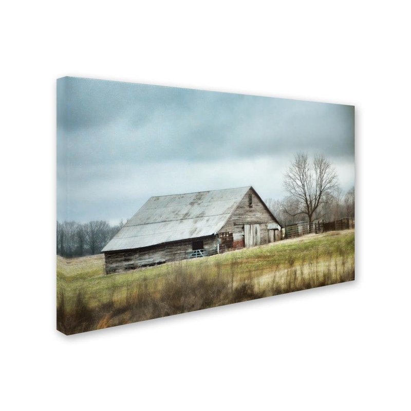 Trademark Fine Art ' An Old Gray Barn ' Canvas Art by Jai Johnson 22x32