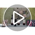 Compact Vertical Lever Corkscrew Wine Opener with Foil Cutter - Champagne Gold