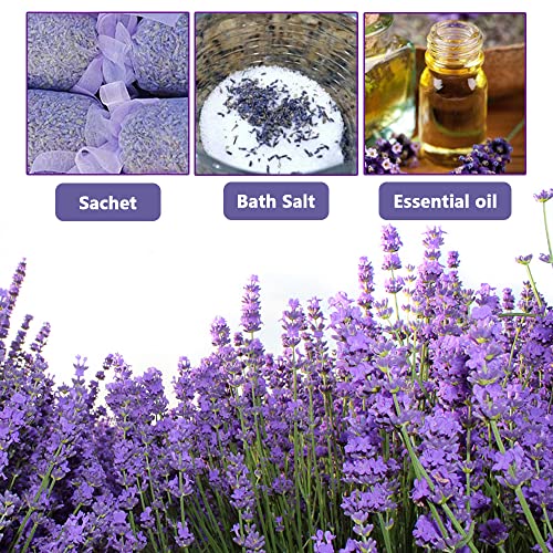 Dried Lavender Flowers, 1 lb Natural French Blue 5A Buds for DIY Crafts