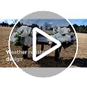 Cemetery Memorial Vases with Ground Stakes - 6 Pack Black Grave Flower Holders