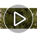 4.5ft Slim Fraser Fir Artificial Christmas Tree with 150 Clear Lights - Pre-Lit Holiday Tree