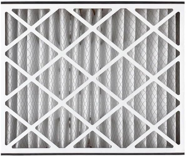 Trion Air Bear Pleated Air Filter - MERV 11, 20” x 25” x 5” | 2-Pack for Superior Air Quality