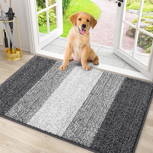 Absorbent Dog Doormat for Muddy Paws - 30x20 Inch Non-Slip Entryway Rug