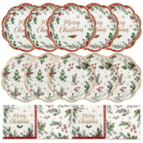 CENLBJ 100Pcs Christmas Plates & Napkins Set, Holly Berry Pine Cone 9in/6.5in - Vines Variation