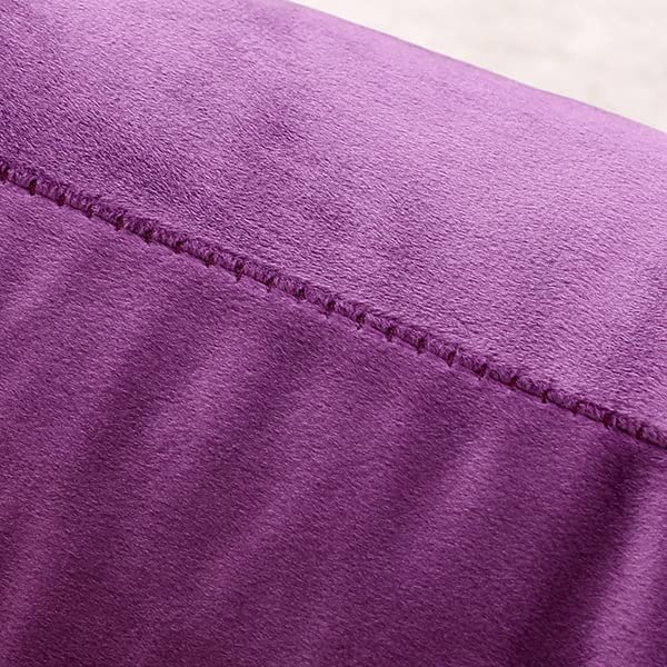 NiNi ALL Purple Velvet Throw Pillow Covers 22x22in (Pack of 2) Decorative Cushions