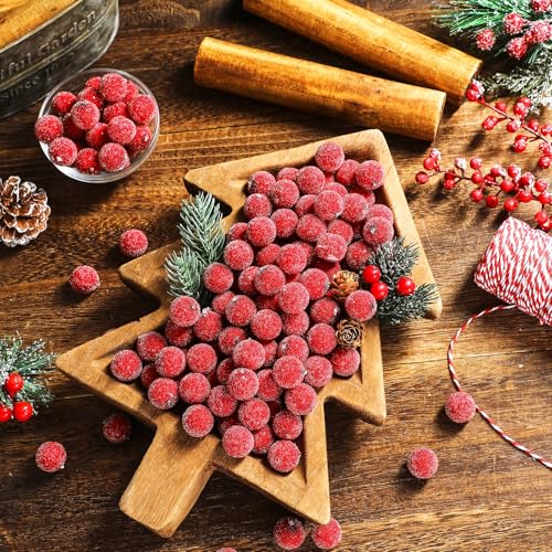 Solsew 200 Pcs Frosted Artificial Cranberries for Christmas Decor, Vase Fillers