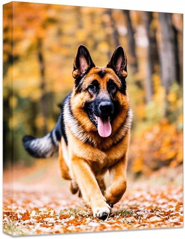 Personalized Canvas Print by [Brand Name] - Custom Photo Wall Art for Bedroom & Living Room (20" W x 24" H)