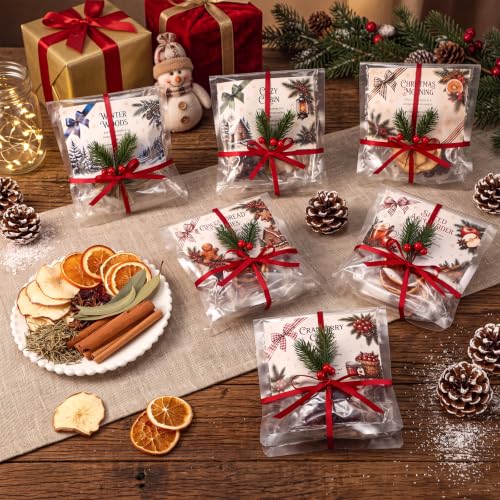 Loopeer 6 Pack Christmas Simmer Pot Potpourri Kit - Holiday Gift Set with Labels & Decorations