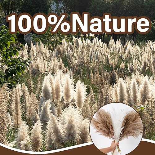 40 PCS Natural Dried Pampas Grass Stems - 17" Fluffy Boho Floral Decor