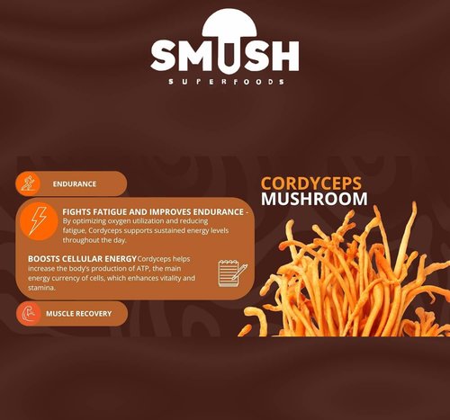 SMUSH - Mushroom Espresso Pods Compatible with Nespresso Original Machines | Enriched coffee with mushroom, Energy & Focus (Pack of 40-Count, Mind - Cordyceps)