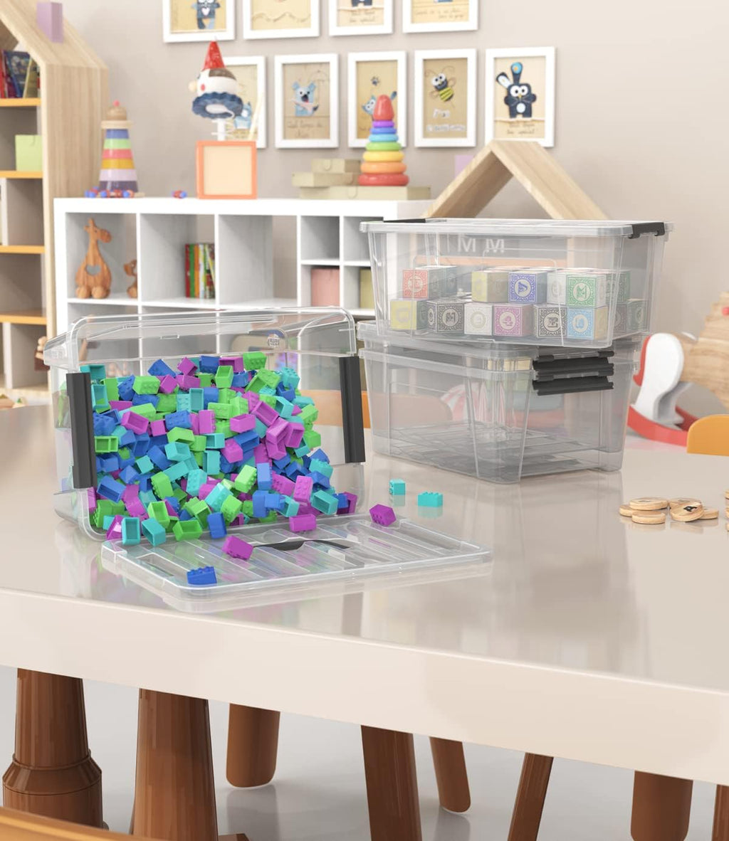 WYT Clear Storage Latch Bins - 6-Pack Organizer Boxes with Handles and Lids | 5-Litre Capacity