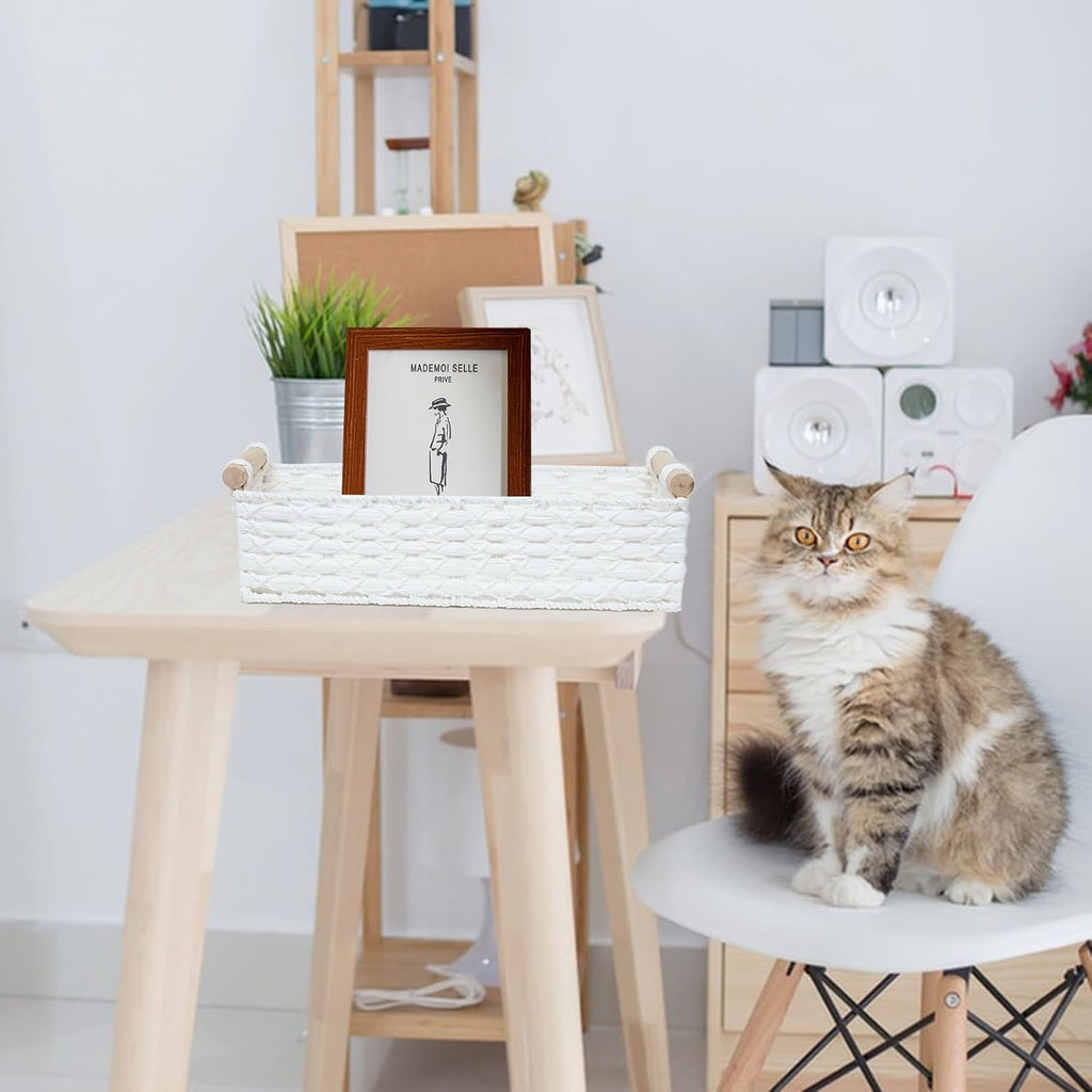 Small Wicker Storage Basket by [Brand Name] - Decorative Organizing Bins with Handle | White Set for Countertops & Toilets