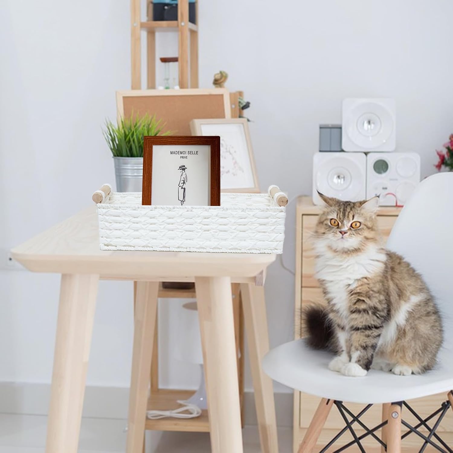 Small Wicker Storage Basket by [Brand Name] - Decorative Organizing Bins with Handle | White Set for Countertops & Toilets