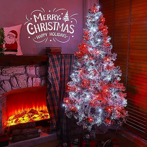 Hopolon 33 FT 100 LED String Lights Indoor Outdoor,Red and White