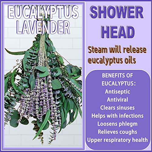 Dried Eucalyptus & Lavender Stems Bundle for Shower Spa Decor - 52 Pcs