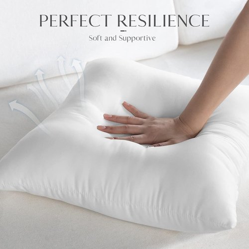 Ashler Outdoor Pillow Inserts - Waterproof & Hypoallergenic | Set of 4, 18 x 18 Decorative Pillows