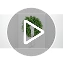 28-Inch Artificial Boxwood Wreath for Front Door, Year-Round Greenery Decor