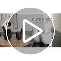 Ceramic Bird Statues Set of 2 Modern Decorative Animal Ornaments