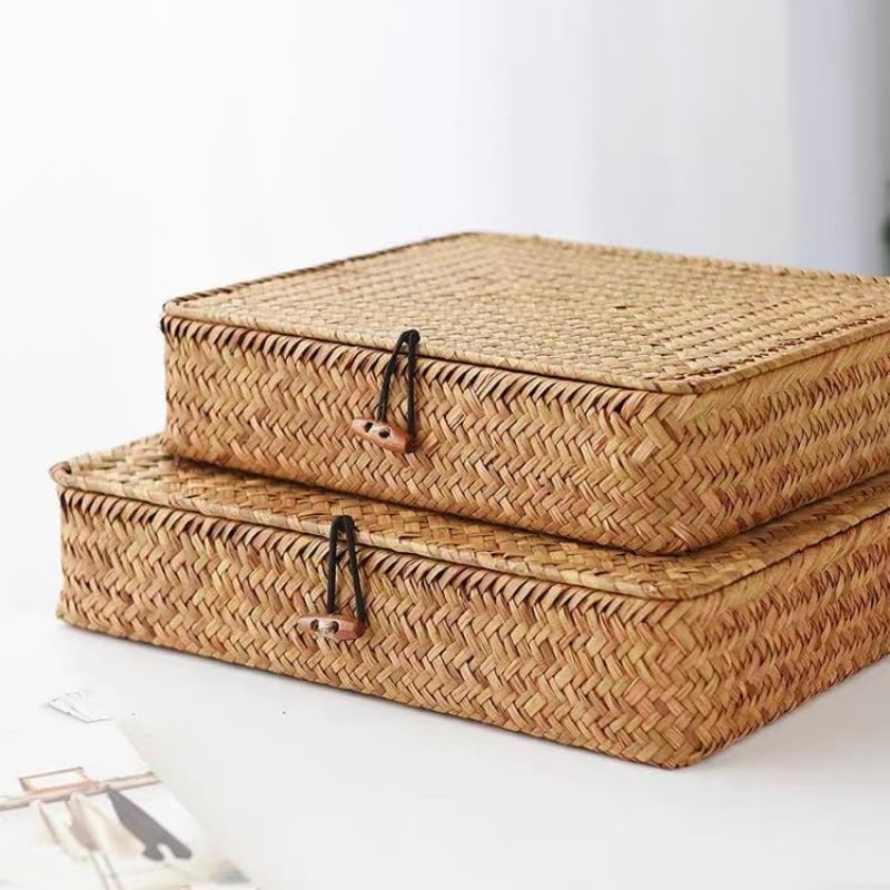Seagrass Storage Baskets - Decorative Woven Baskets with Lid for Organizing | Shallow Design