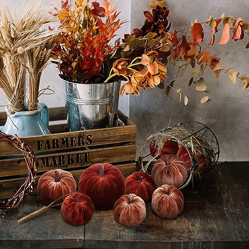 8-Piece Artificial Velvet Pumpkin Set, Brown & Champagne Fabric Fall Decor